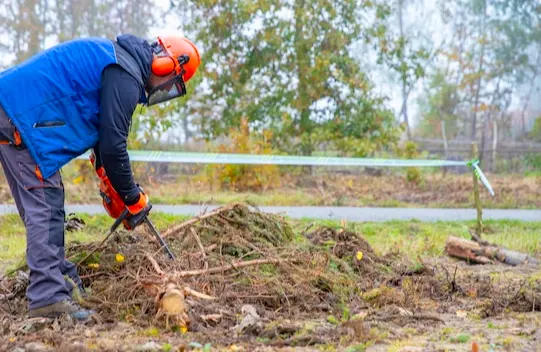 jardinero en Madrid cortando troncos