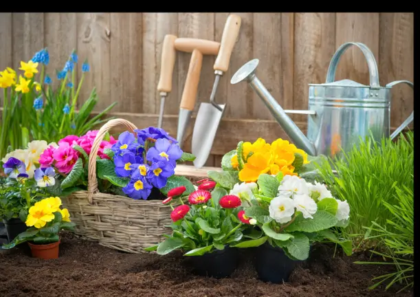 flores y herramientas para su jardin